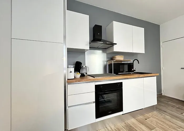 Apartment Chamonix Magnifique Duplex Avec Terrasse Au Centre Reims