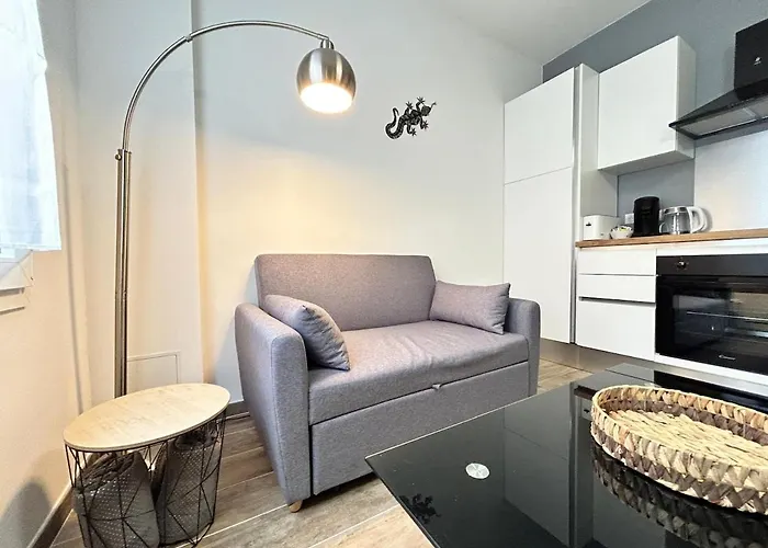 Chamonix Magnifique Duplex Avec Terrasse Au Centre * Reims